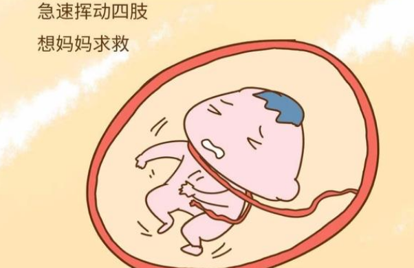 胎动预示胎儿安危怀孕22周胎动突然减少孕妈要警惕胎儿缺氧