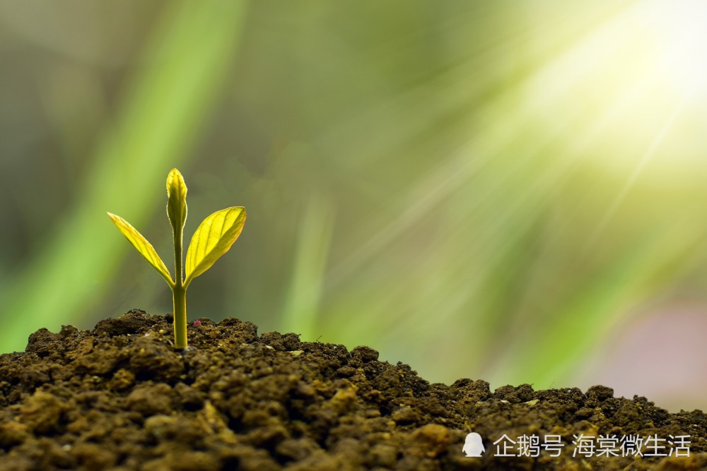 只有在阳光的滋润下,孩子们才能如小苗般茁壮成长