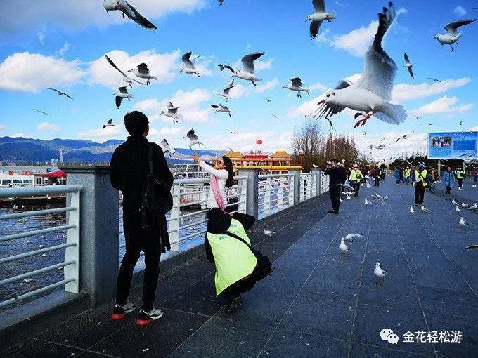 云南参团旅游报价（云南旅游当地报团价格）