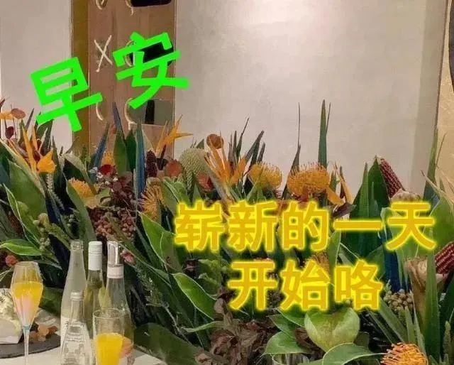 初秋暖心早上好问候祝福语动态图秋天清晨早安祝福语句句暖人心