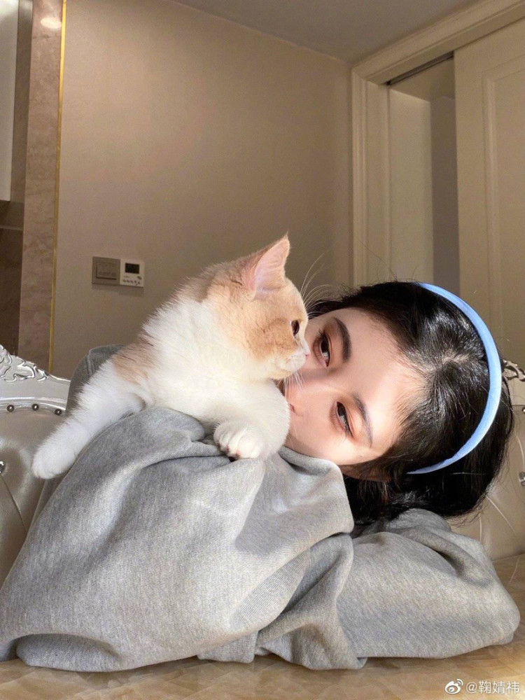 第二位:鞠婧祎 鞠婧祎的猫看上去小巧可爱,与她本人十分相似,果然帅哥