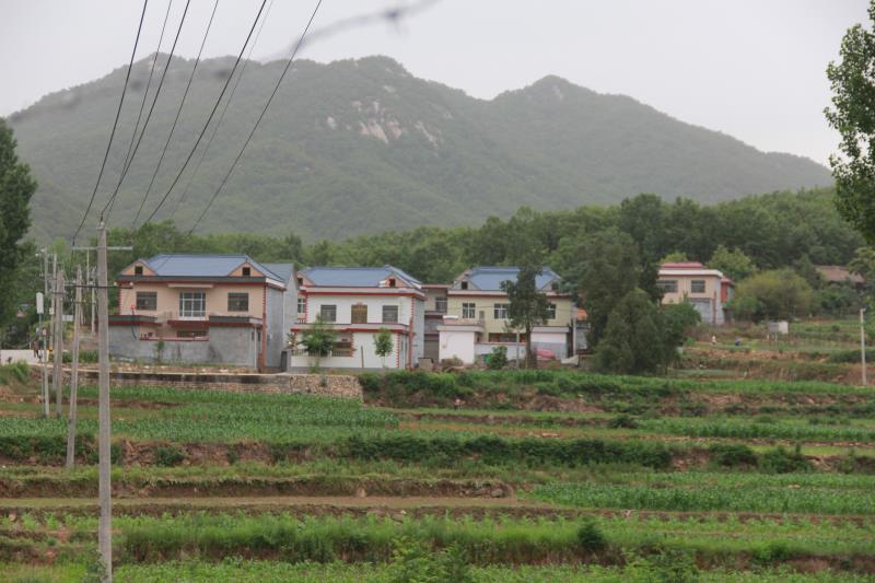 鲁山县张沟村靠山吃山不挖山山民生活比蜜甜