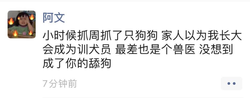 感动的举报了07,让我想起了我的同桌这家伙,你知不知道反派死于话多08