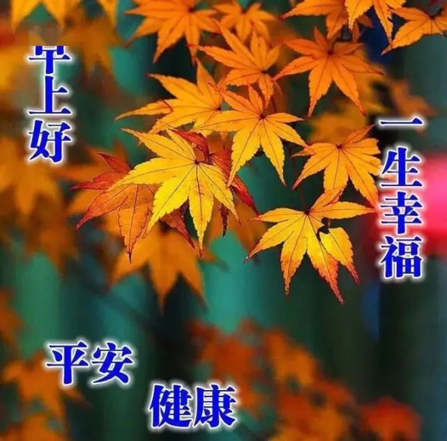 漂亮秋天风景早上好图片带字带祝福语 微信适合发秋季