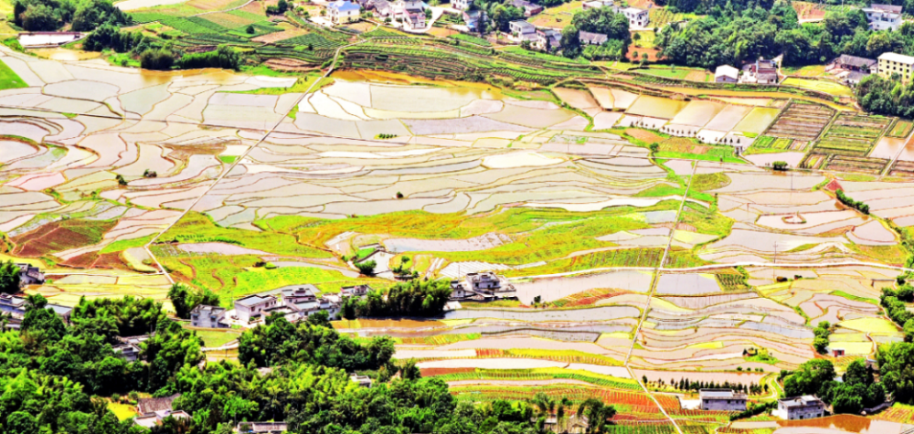 【方志四川 风光】颜林‖丹山梯田美如画 乡村旅游醉游人