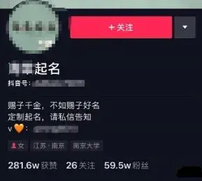 2020年新手也能操作的项目:抖音起名号的搞钱路子