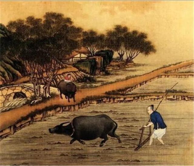 然后他就去了田间,到了一打眼便知道,这哪里是什么"闲田",老农民盼着