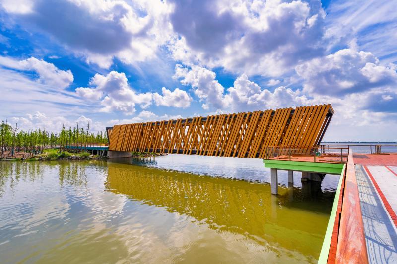 "赤橙黄绿青蓝紫",以色为名,上海临港滴水湖新建七桥命名启用