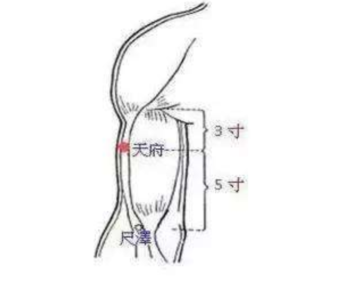 天府穴有哪些作用