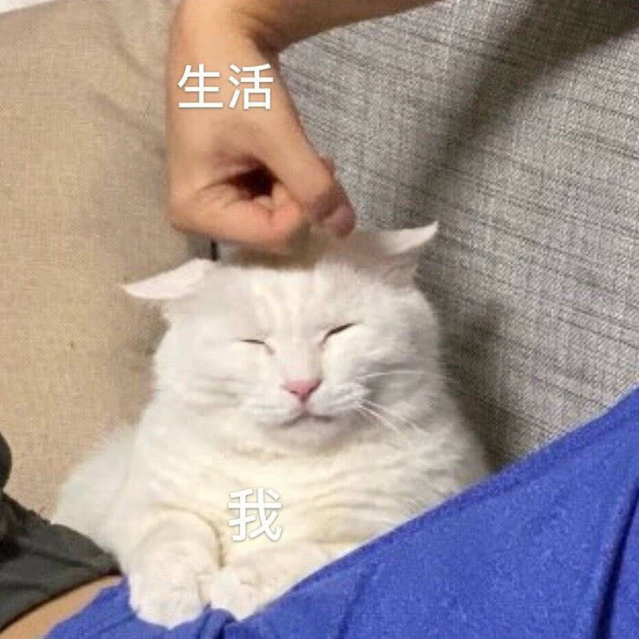 表情包～我的卡姿兰大眼睛