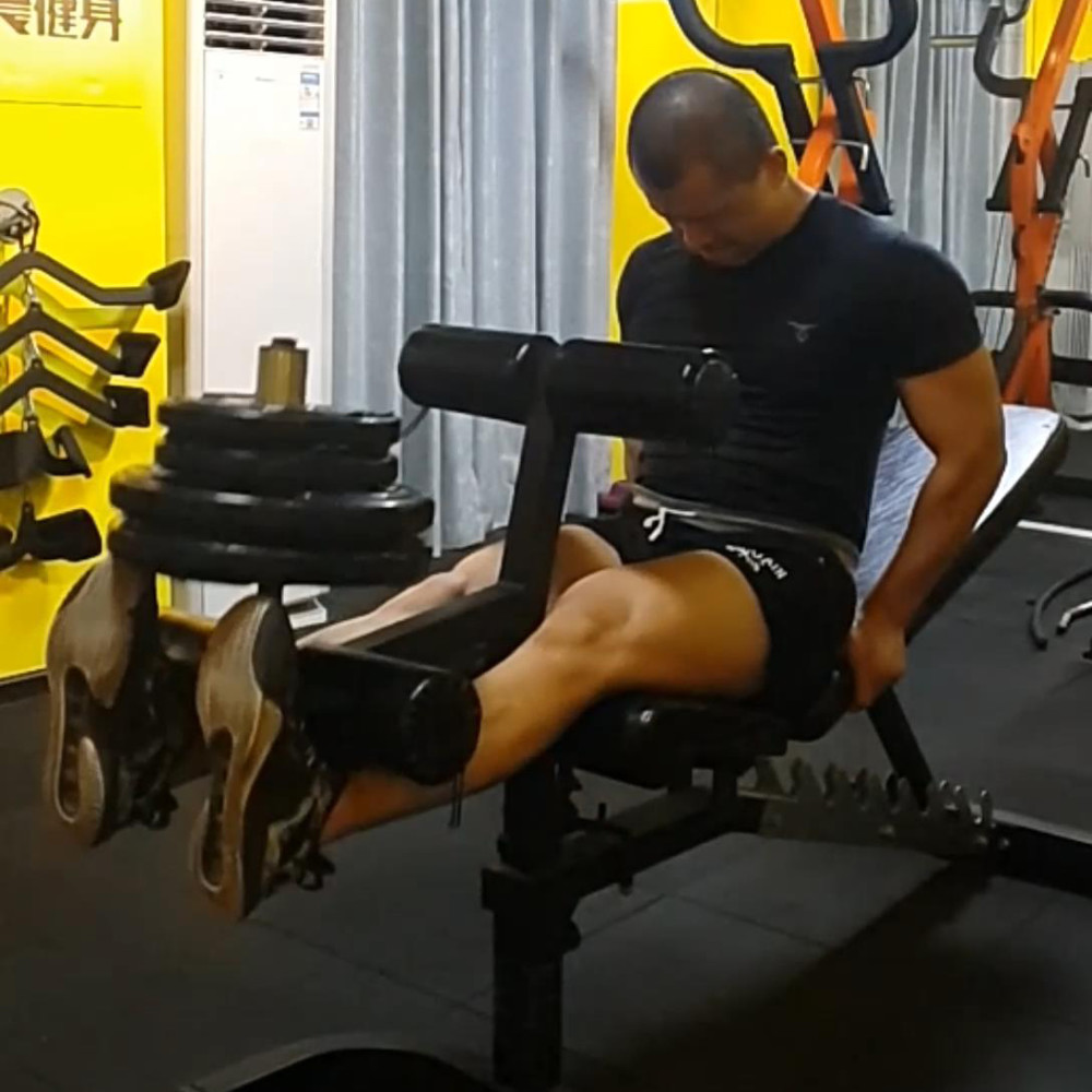 坐姿腿屈伸 腾讯网