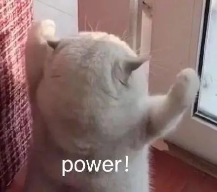 表情包猫power