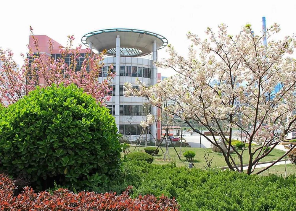 学校官网公开消息,周村校区已经启用两年. 齐鲁医药学院