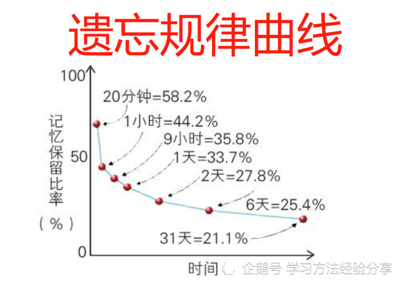 人类大脑遗忘规律