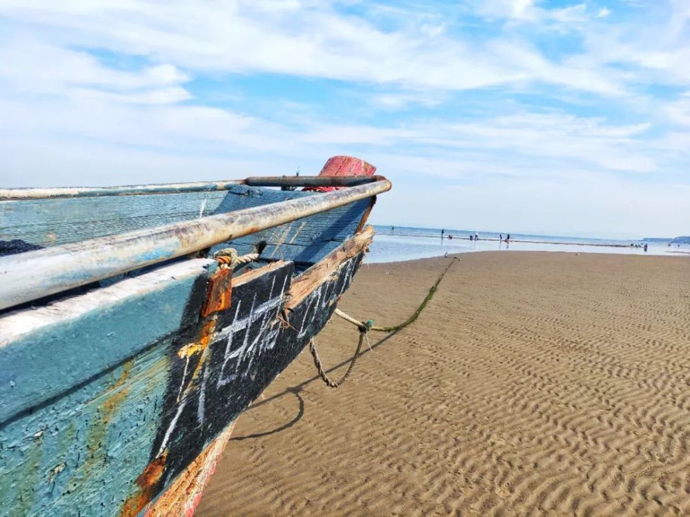 大连赶海圣地,夏家河子海滨景区