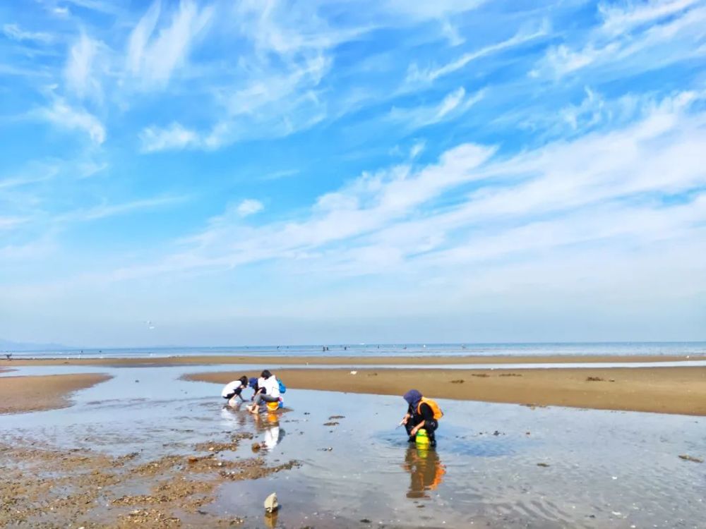 大连赶海圣地,夏家河子海滨景区