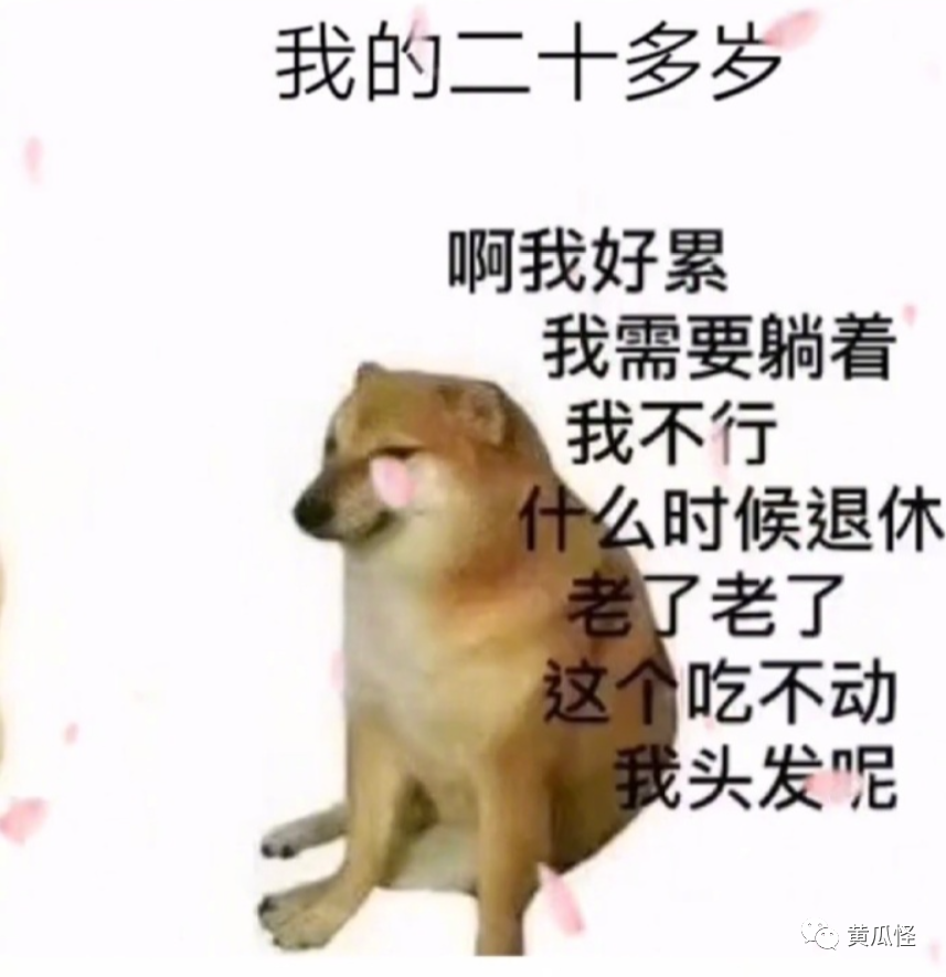 当代大学生的迷惑行为,哈哈哈优秀