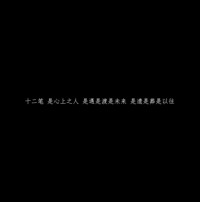 十二笔 是心上之人 是遇是渡是未来 是遗是葬是以往