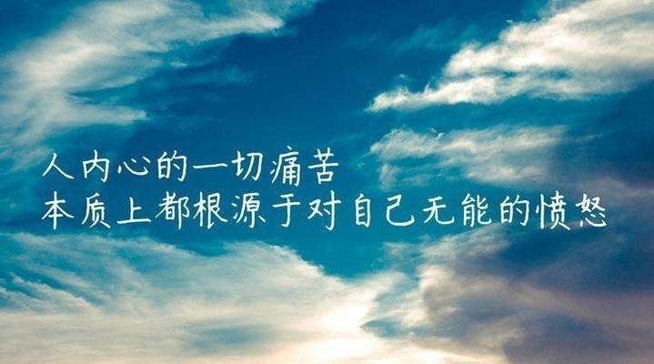 幸福可以学来:改变悲观人生,做有能力幸福的乐观者