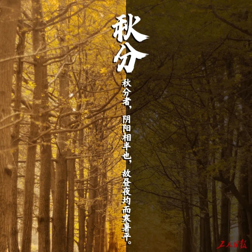 今日秋分!一场秋雨一场凉,秋凉记得添衣裳