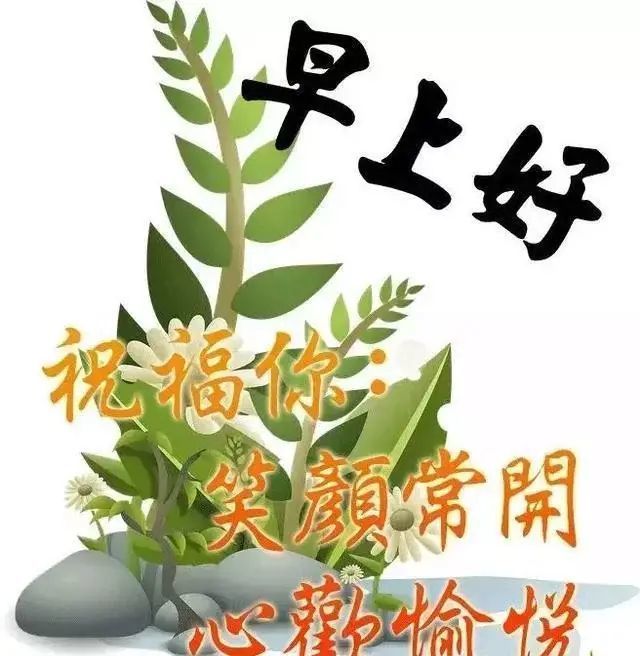 新的一天,早上好的问候语,让快乐好运时刻围绕着您!早安