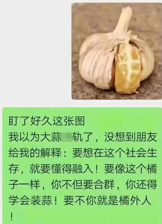 网友也是脑洞大开呢~马上就有评论了呀,就蒜挤进去,也是橘外人