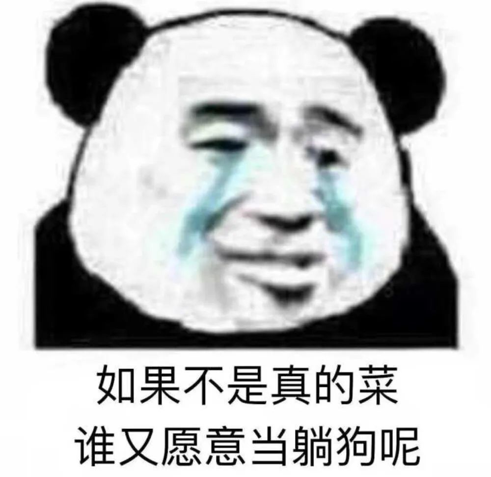 沙雕表情包:我真的不懂