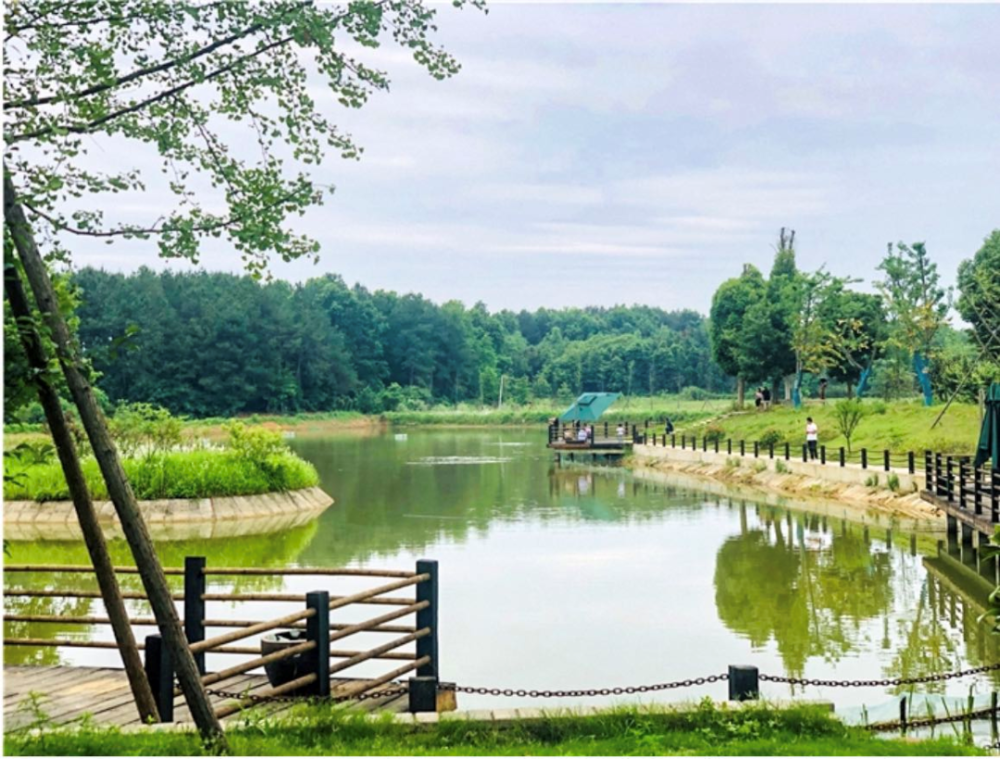 海洋村位于武汉江夏区湖泗街夏公绰湾,距武汉城区75km,江夏城区50km