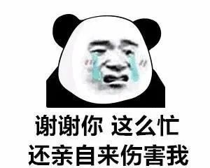沙雕表情包动图|年纪太大,不好骗了