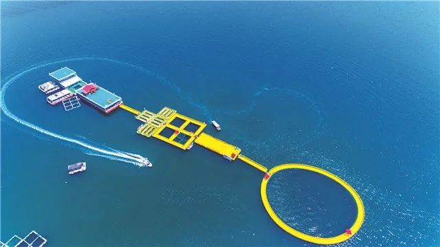 经济总量占全省的比重进一步提高_经济图片