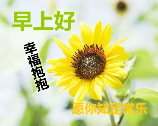 微信早上好祝福语图片最新版:愿你开心快乐,幸福如意