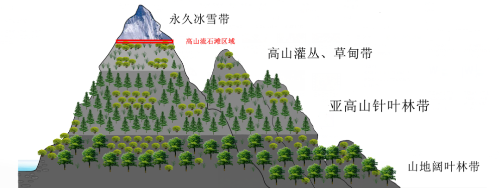 西南山地植被垂直带示意图,引自《中国灌丛生态系统碳收支研究》