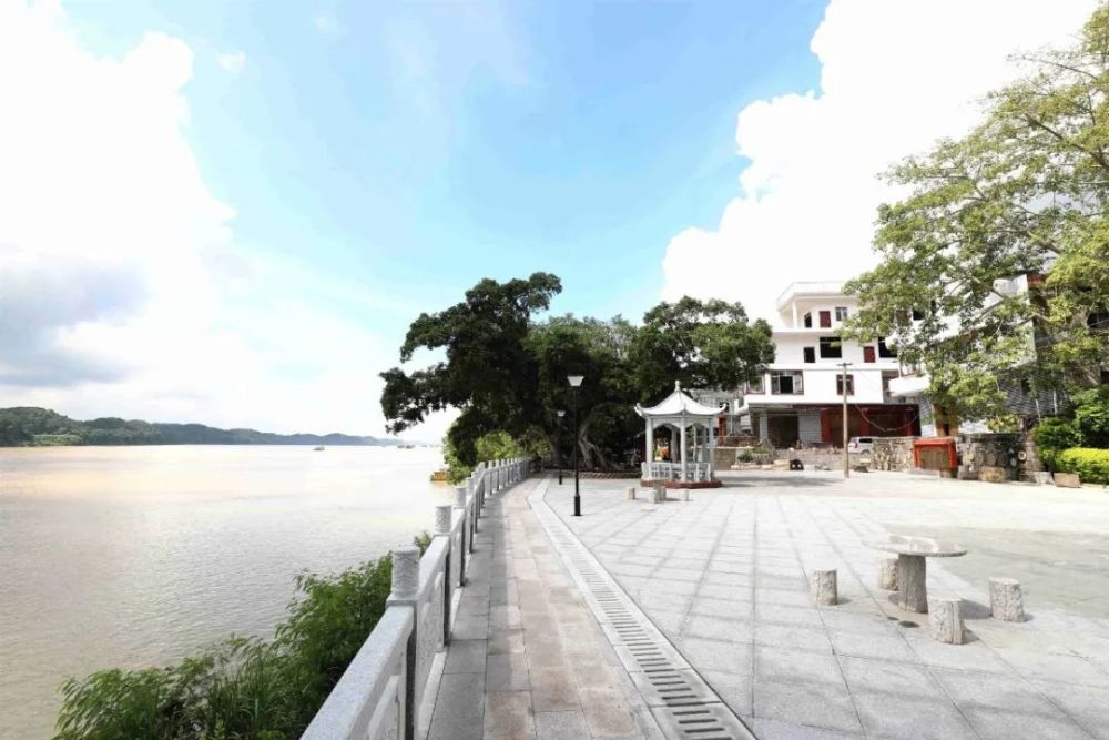 平南"白马双英",原来有着这样的故事