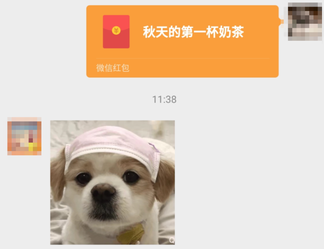 秋天的第一杯奶茶,究竟是一个什么梗