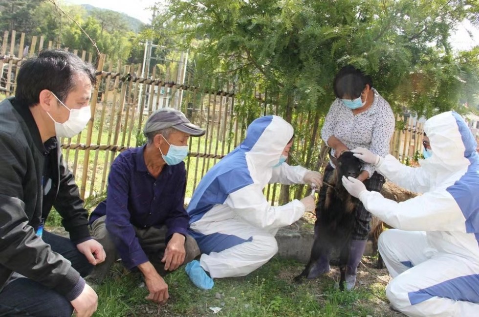 省璜人口_省璜前锋村图片