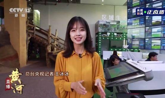 央视初恋脸女记者王冰冰走红,谁不爱甜妹呢?网友直呼爱上看新闻
