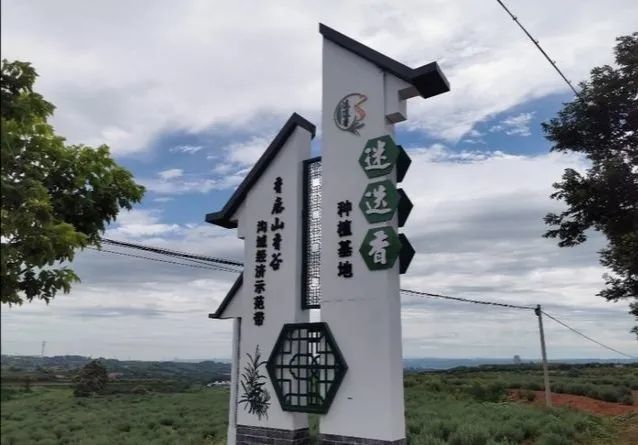 香鹿山上迷迭香洛阳迷迭香农业开发有限公司董事长石瑞扑产业扶贫纪实