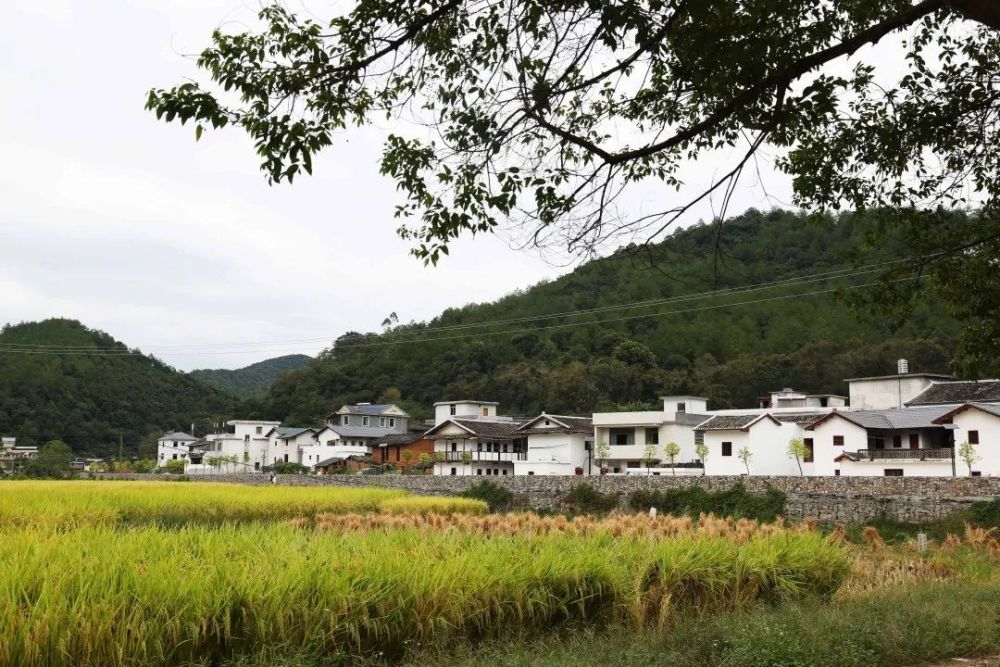 田园风光真正小众的古村落有生之年一定要去