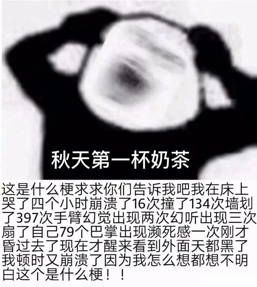 秋天的第一杯奶茶梗,最新表情包合集
