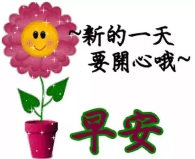 2020最漂亮早上好问候图片鲜花带字最美早安问候图片带字