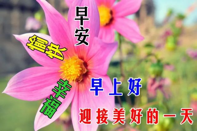 10月2日最漂亮早上好动态表情图片大全早晨好动图美图大全
