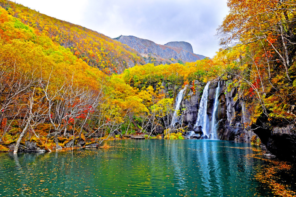 "十一"来长白山,赏醉美"五花山"