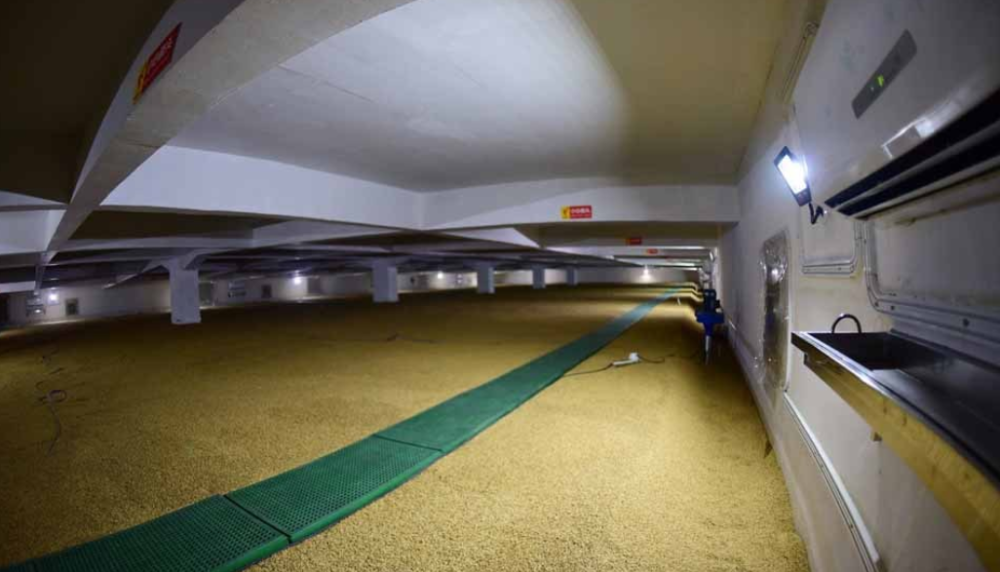 400多吨储备粮"神秘消失",问题出在哪儿?涉案26人供述