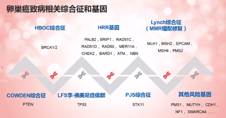 应接受brca检测,上皮性卵巢癌应考虑接受多个卵巢癌遗传易感基因检测
