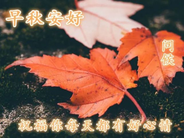 分享给朋友最唯美的早上好的温馨句子 最美祝福早上好