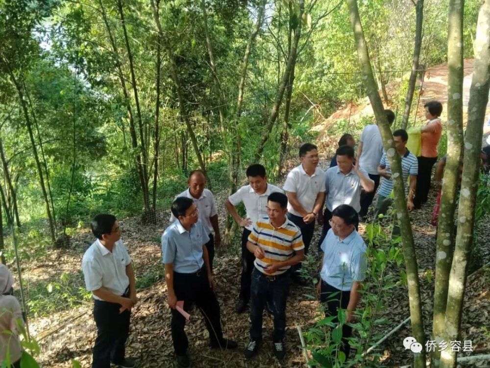 浪水镇泗河村催红菇高产助脱贫致富