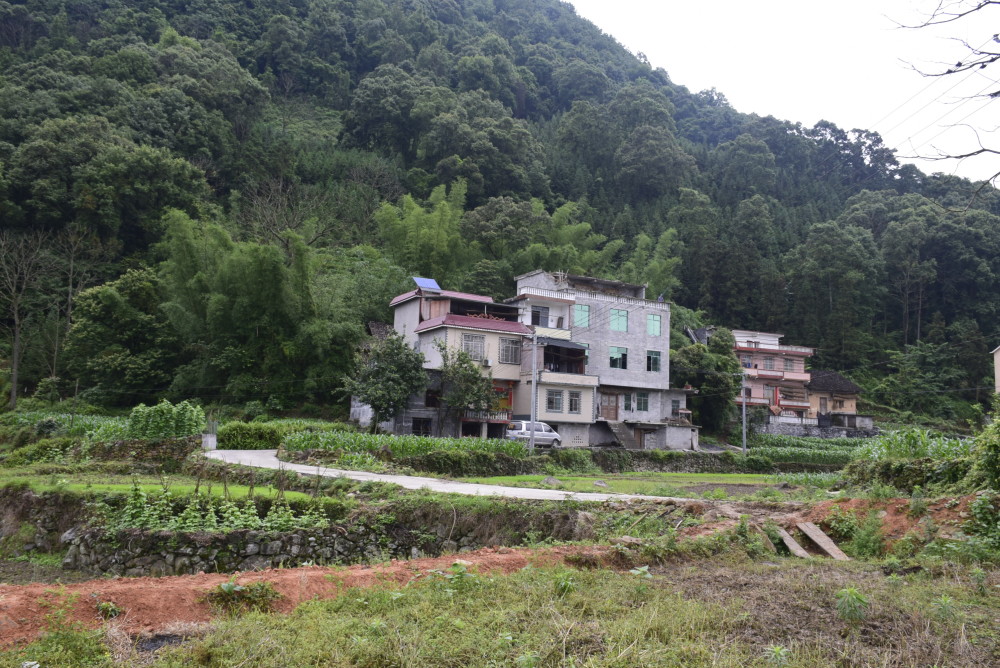雨后的新农村景色