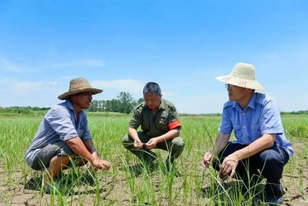 怀来县西八里村人口_怀来县西辛堡村飞机场