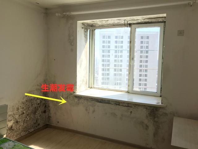 房子带飘窗我才不砸,加个玻璃护栏,双重安全保障,以后