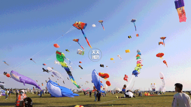 潍坊国际风筝会!一大波高清美图来袭